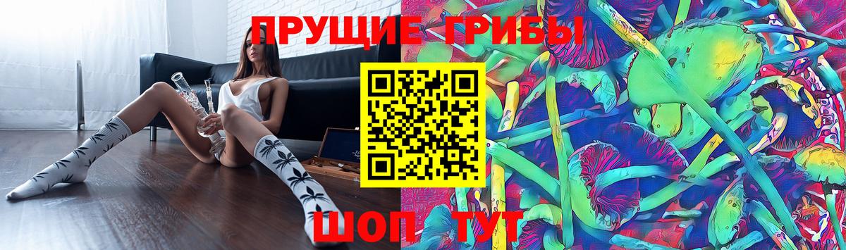 Псилоцибиновые грибы Cubensis  Вход с VPN  что такое наркотик  Калуга 